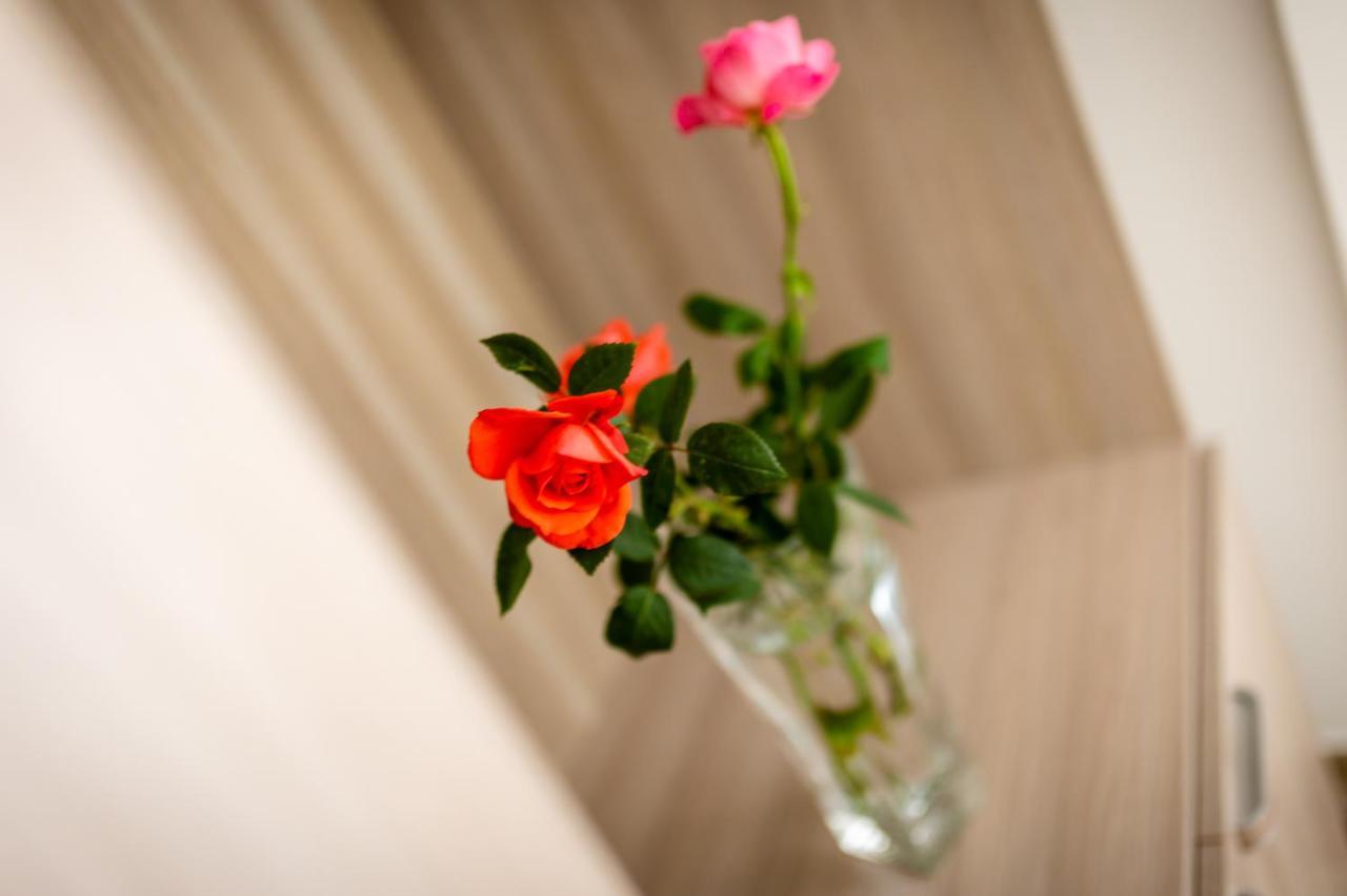 Le Calette Rooms - Puglia Mia Apartments Monopoli Eksteriør billede